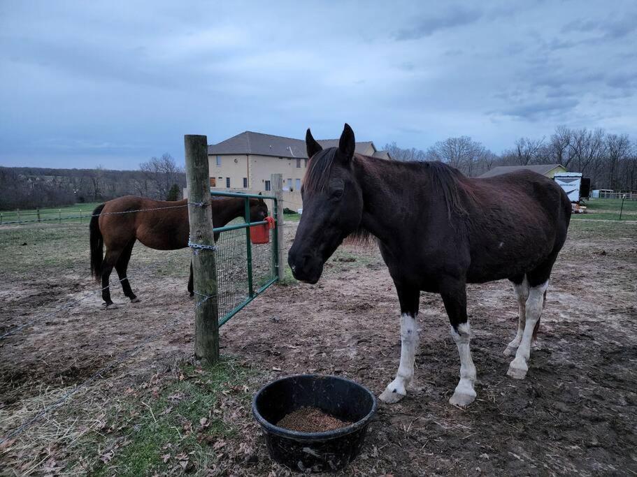 Hotel Deer Run Estate Llc Marshfield Zewnętrze zdjęcie